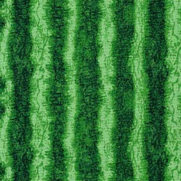 EOB~Timeless Treasures~Fresh Fruit~Watermelon Rind Stripe~Green~Cotton Fabric by the Yard or Select Length C1138-GRN
