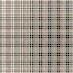 Northcott~Cat Tales~Small Plaid~Beige/Multi~Cotton Fabric by the Yard or Select Length 24533-12
