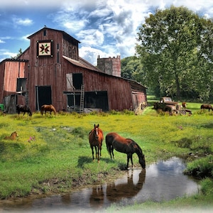 Hoffman~Sun Up to Sun Down~29.5&quot; x 43.5&quot; Barn Panel~Digital Print~Barn Red~Cotton Fabric by the Panel U5070-83