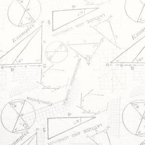 May include: A white background with a repeating pattern of light gray geometric shapes, including triangles, circles, and lines. The text includes "Examples", "Conclusion", "Latitude and Longitude", and "Trigonometric Identities".
