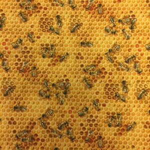EOB~Elizabeths Studio~Bees & Flowers~Bees and Honeycomb~Honey~Cotton Fabric by the Yard or Select Length 510E-HONEY