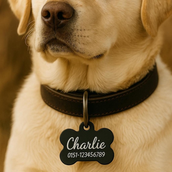 Hundemarke,individuell graviert, Personalisierte Hundemarke aus Aluminium   Gravur mit Name & Telefonnummer  Hundeanhnger Knochenform - Etsy.de