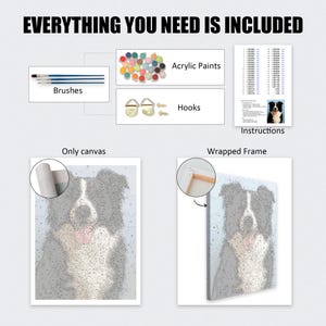 May include: A paint-by-numbers kit featuring a Border Collie. The kit includes brushes, acrylic paints, hooks, and instructions. The text "EVERYTHING YOU NEED IS INCLUDED" is at the top of the image. The canvas is available as a wrapped frame or as a canvas only.