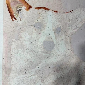 May include: Paint-by-numbers canvas featuring a corgi dog. The image is mostly white with areas of gray and brown, and includes numbered sections for painting. The corgi's ear is a prominent feature, with shades of brown and orange.