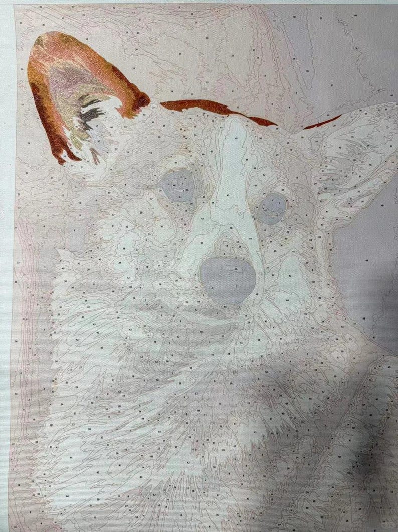 May include: Paint-by-numbers canvas featuring a corgi dog. The image is mostly white with areas of gray and brown, and includes numbered sections for painting. The corgi's ear is a prominent feature, with shades of brown and orange.