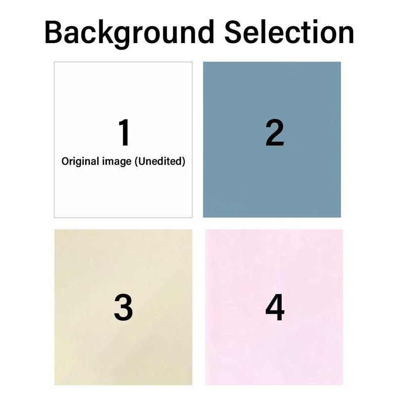 May include: Image displaying a "Background Selection" graphic. The graphic presents four numbered squares: a white square labeled "1" with "Original image (Unedited)", a blue square labeled "2", a beige square labeled "3", and a pink square labeled "4".
