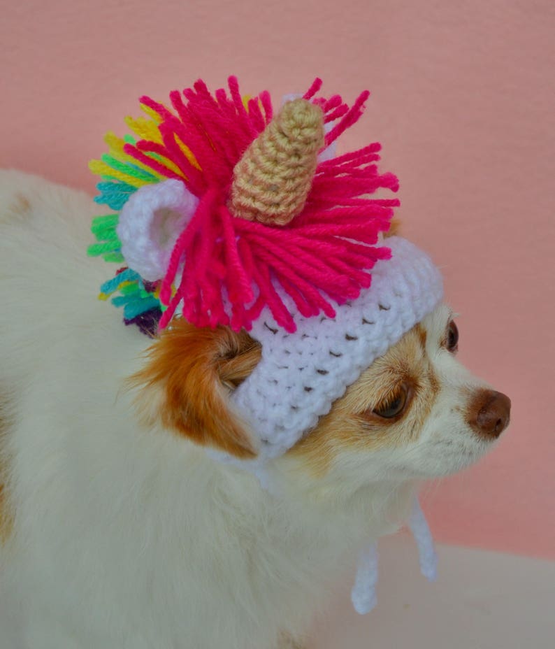 Dog Halloween Costume Cat Unicorn Hat Rainbow Pet Costume Large Dog Costume Dog Unicorn Hat Unicorn Crochet Cat Costume