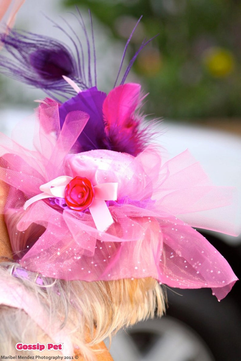 Dog Hat Puppy Hat Kentucky Derby Hat Feather Fascinator Etsy