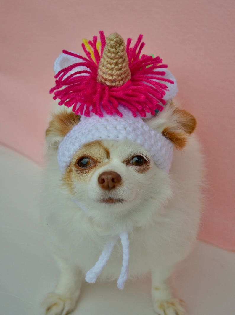 Dog Halloween Costume Cat Unicorn Hat Rainbow Pet Costume Large Dog Costume Dog Unicorn Hat Unicorn Crochet Cat Costume