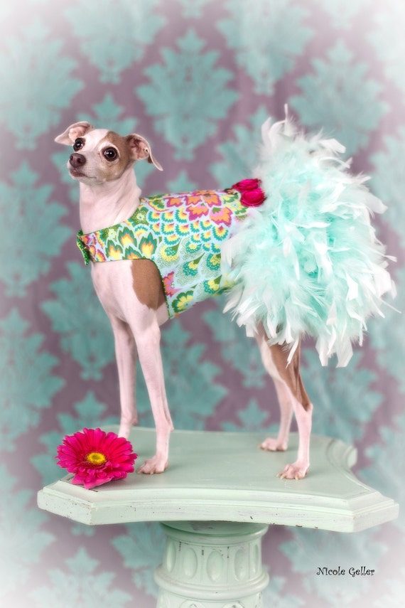 Items similar to Vintage Mint Feather Harness Dog Dress on Etsy