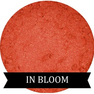 Coral Eyeshadow IN BLOOM