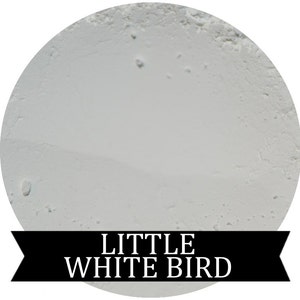 Matte White Eyeshadow LITTLE WHITE BIRD