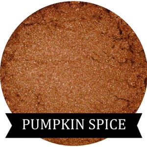 PUMPKIN SPICE Copper Orange Eyeshadow Fall Halloween Collection