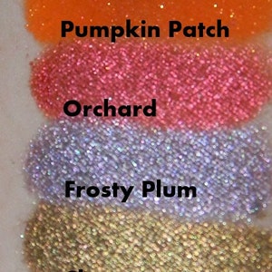 ORCHARD Bright Shimmery Metallic Red Eyeshadow image 5