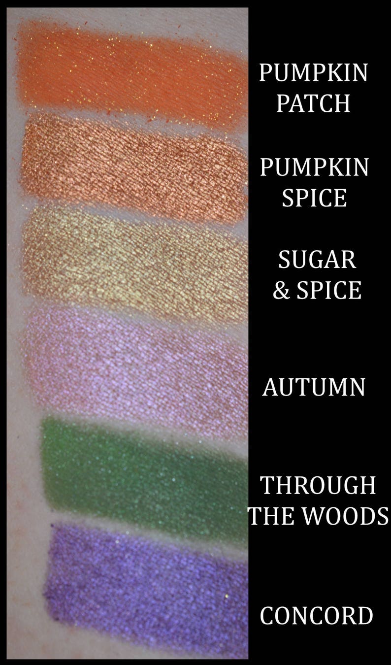 PUMPKIN PATCH Orange Eyeshadow Fall Halloween Collection image 3