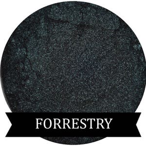 Dark Green Eyeshadow FORRESTRY
