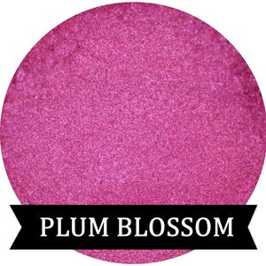PLUM BLOSSOM  Shimmery Pink Eyeshadow