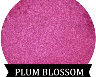 PLUM BLOSSOM  Shimmery Orchid Pink Eyeshadow