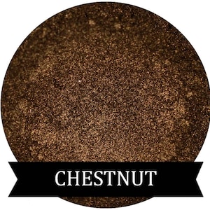 Shimmery Golden Brown Eyeshadow CHESTNUT