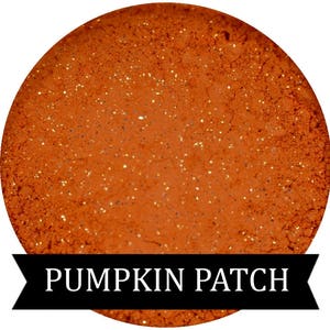 PUMPKIN PATCH  Orange Eyeshadow Fall Halloween Collection