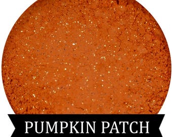 PUMPKIN PATCH  Orange Eyeshadow Fall Halloween Collection