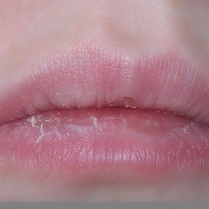 RIPE RASPBERRY Sugar Kisses Lip Polish Exfoliating Lip Scrub in a Tube image 3