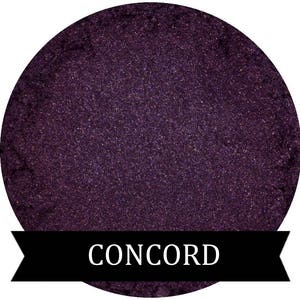 CONCORD Purple Eyeshadow Fall Collection