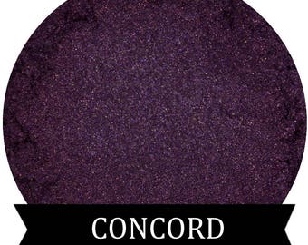 CONCORD Purple Eyeshadow Fall Collection