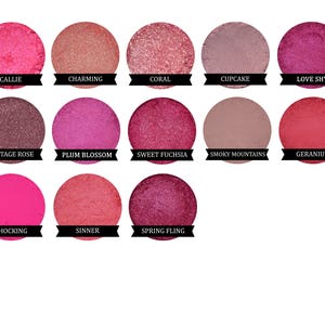 May include: Twelve round eyeshadows in a variety of pink, red, and coral shades. The names of the shades are listed below each eyeshadow.