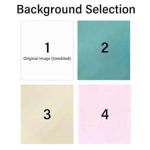 May include: Image displaying a background selection with the text "Background Selection" at the top. Four numbered squares show different background options: white, teal, beige, and pink. Each square is labeled with a number.