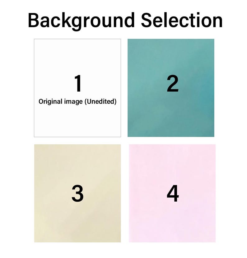 May include: Image displaying a background selection with the text "Background Selection" at the top. Four numbered squares show different background options: white, teal, beige, and pink. Each square is labeled with a number.