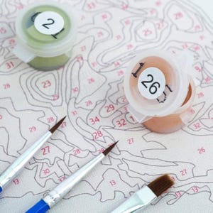 May include: Close-up of paint-by-numbers supplies. Two small plastic paint pots with numbers 2 and 26 on the lids, and three paintbrushes with blue and silver handles. The background is a paint-by-numbers canvas with numbered sections.