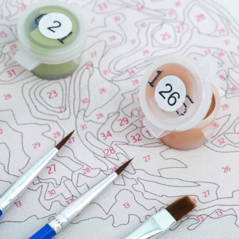 May include: Close-up of paint-by-numbers supplies. Two small plastic paint pots with numbers 2 and 26 on the lids, and three paintbrushes with blue and silver handles. The background is a paint-by-numbers canvas with numbered sections.