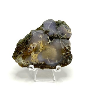 May include: A slice of agate with brown, purple, and white banding. The agate is on a clear plastic stand. The text "DAT-25-01-1004" is on a white label below the stand.