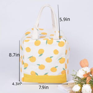 Fruit Insulated Lunch Bag: Drawstring/Zipper Closure, Cooler & Warmer Thermal Orange-square
