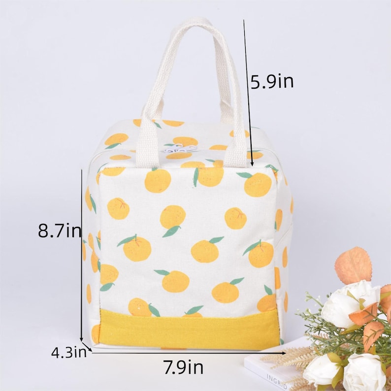 Fruit Insulated Lunch Bag: Drawstring/Zipper Closure, Cooler & Warmer Thermal Orange-square