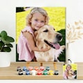 Custom Paint by Numbers Kit for Adults, DIY Portrait from Your Photo, Acrylic Painting Kit & Stress Relief Craft, Handmade Gift For Child
