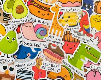 Funny Pun Stickers (2) Affirmation Sticker Pack, Vinyl Waterproof Stickers for Children Motivation Gift