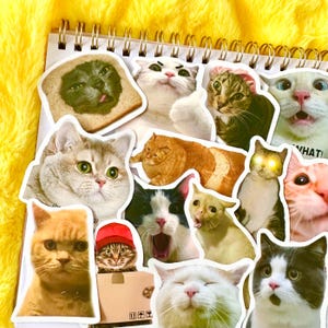Pack de 50 autocollants drôles de chat (1) Stickers mèmes kawaii mignons Cadeau pour moto, ordinateur portable, bagage, bouteille d'eau