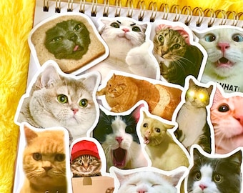 Adesivi divertenti con meme di gatti, adesivi impermeabili kawaii
