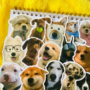 Lot de 50 autocollants pour chiens mignons (1) cadeau amusant kawaii, lot d'autocollants imperméables pour moto, ordinateur portable, bagage, bouteille d'eau