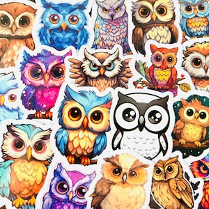 50 Funny Owl Stickers, Kawaii Cute Sticker Pack Gift, Waterproof Decals for Phone, Laptop, Luggage, Water Bottle, Skateboard