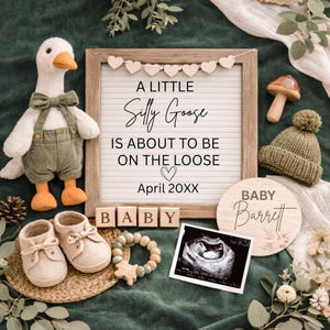 May include: A baby announcement featuring a plush goose toy, baby shoes, and a wooden sign that reads "A Little Silly Goose Is About To Be On The Loose." Includes a sonogram and a wooden sign with the name "Barrett."