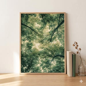 May include: A framed art print featuring a view looking up through a canopy of green leaves and tree branches. The artwork has a natural, earthy aesthetic, with a light-colored wooden frame. The print is displayed on a wooden surface.