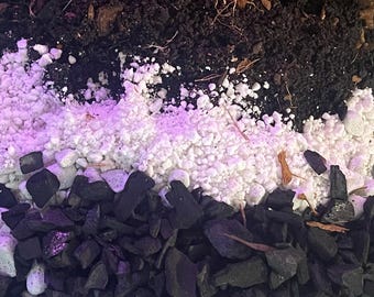 Fungus Gnat Resistant Aroid Soil Mix – Chunky Houseplant Soil for Monsteras, Pothos, Philodendrons & more