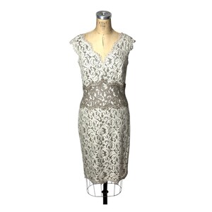 chinese dress ladies Amazon.com: Tadashi Shoji Women's Junior SLVLESS LACE Gown Dress,  Silver/Black, 2 : Clothing, Shoes & Jewelry main image 1