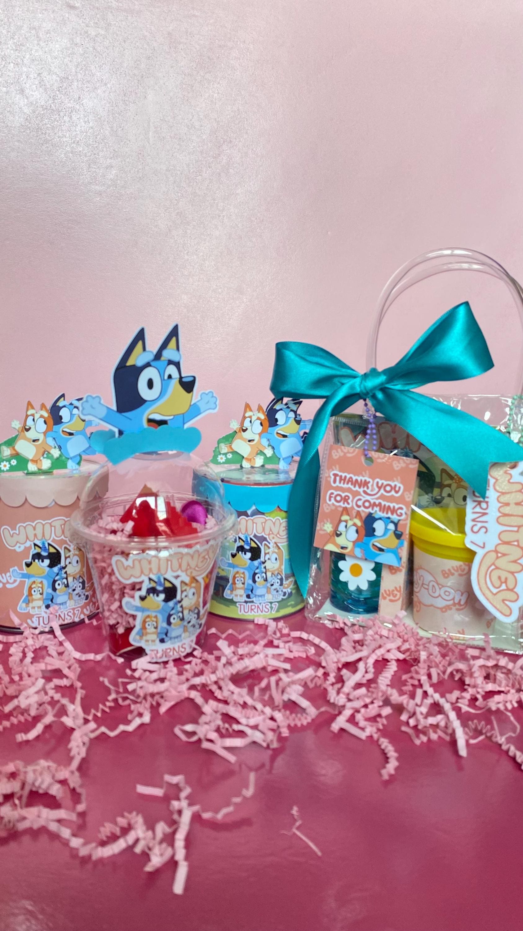 Bluey Goodie Bag: Coloring, Crayons, Bubbles, Playdoh