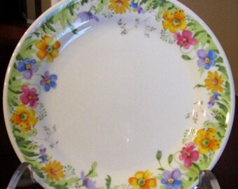 Vintage Country Garden Mikasa A9002 Dinner Plate Ultra Ceram 1975-1979 10.5”