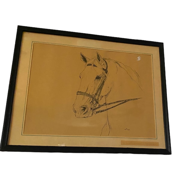 Mid Century Modern 1972 Lipizzaner Stallion Pencil Art Work in Frame K Duffy