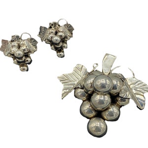 May include: A silver grape cluster pendant necklace and matching earrings. The grapes are detailed and realistic, with a shiny finish. The leaves are delicate and intricate.